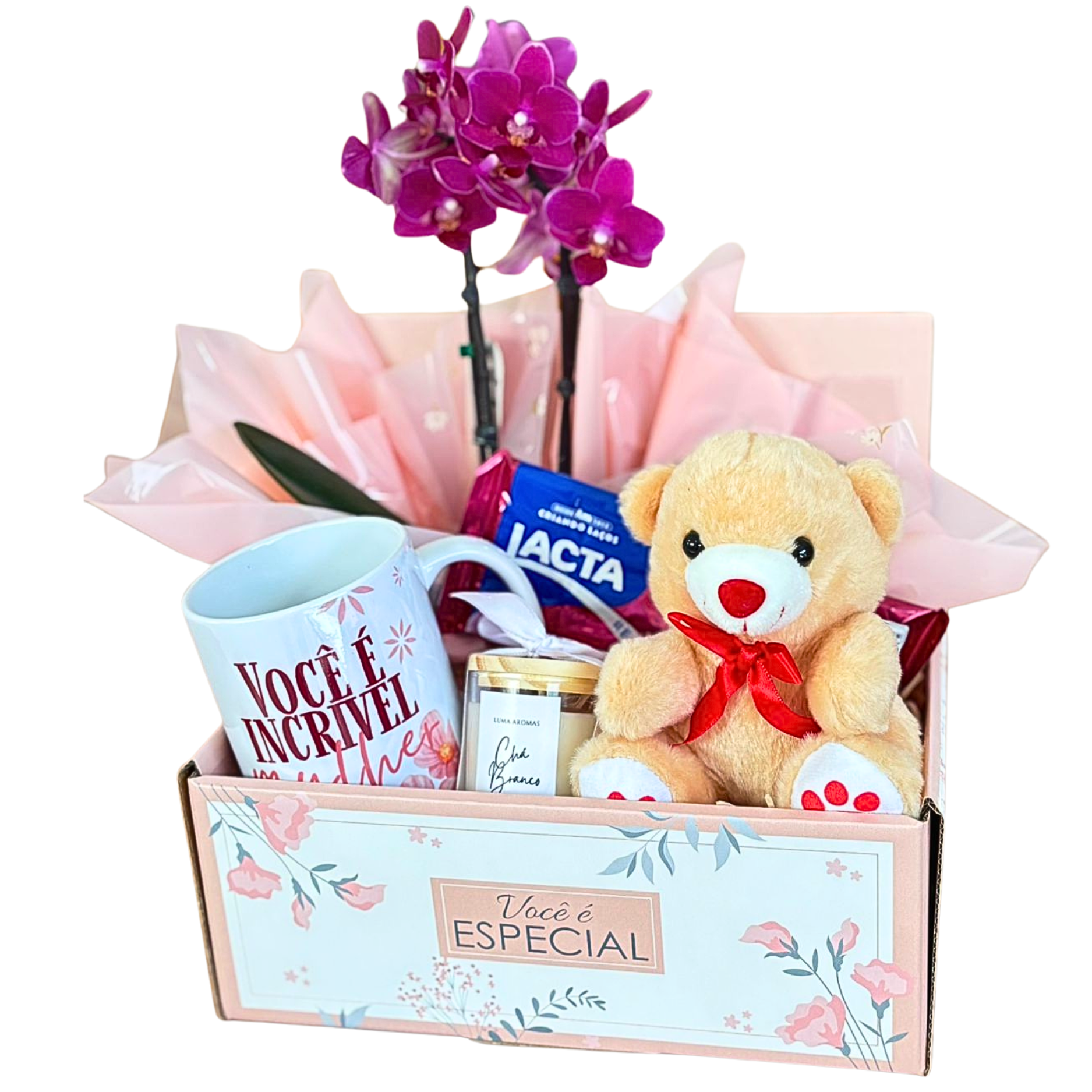  Display Voc� � especial