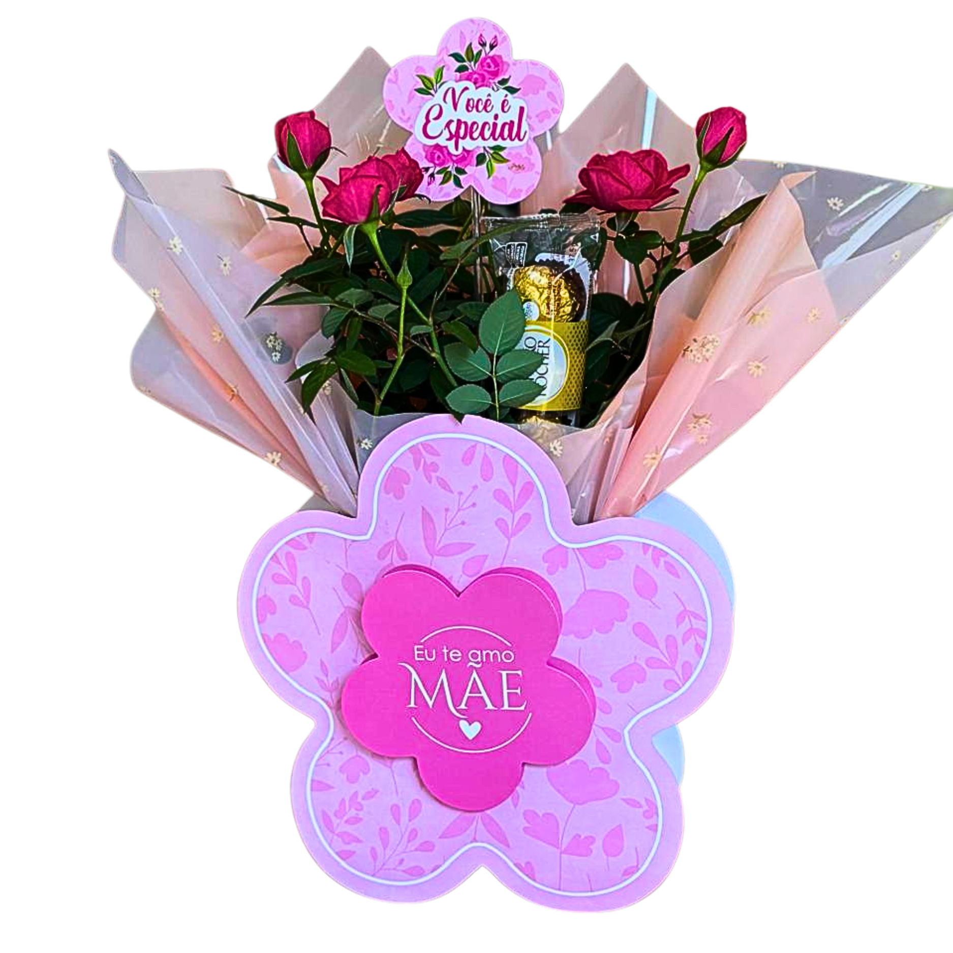 Box Flower com Roseira Especial dia das M�es