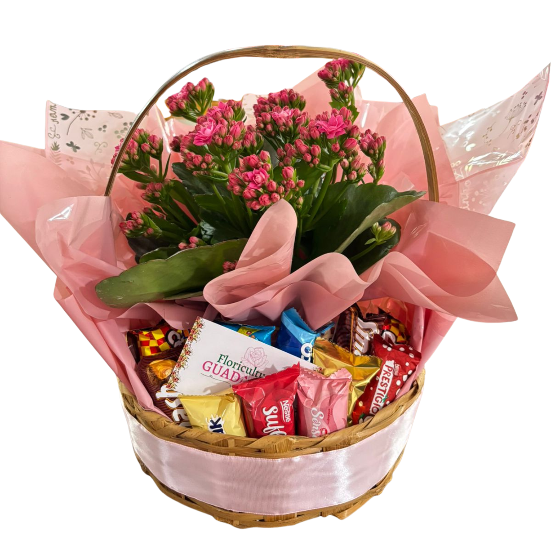 Mini Cesta de Chocolates com Kalanchoe